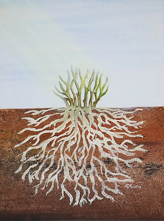 Grow